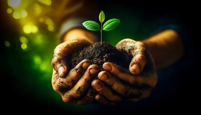 Reasons Gardening is Good for Your Mental Health
