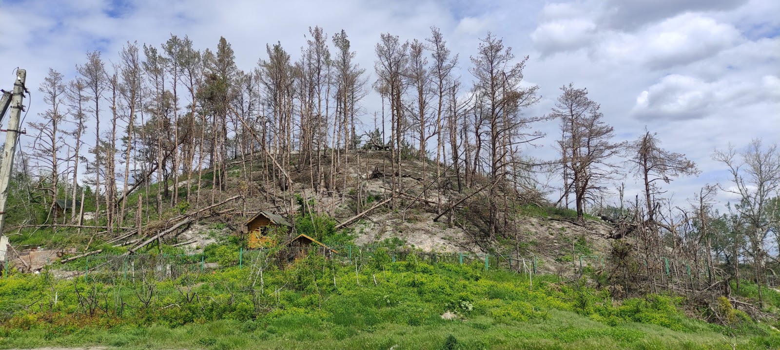 НПП «Святі гори» у травні 2023 року - уже після деокупації у жовтні 2022-го. Після обстрілів російської армії вціліло не більше 20% лісу (фото Івана Мойсієнка)