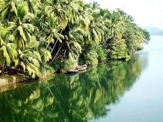 Kozhikodе culture