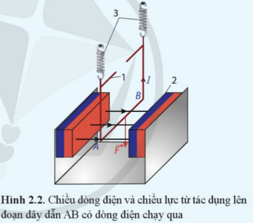 A diagram of a rectangular object with red and blue lines

Description automatically generated