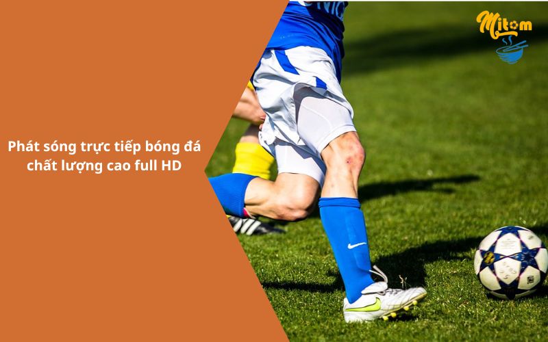 Mitom TV – Xem trực tiếp bóng đá hôm nay chất lượng full HD -2