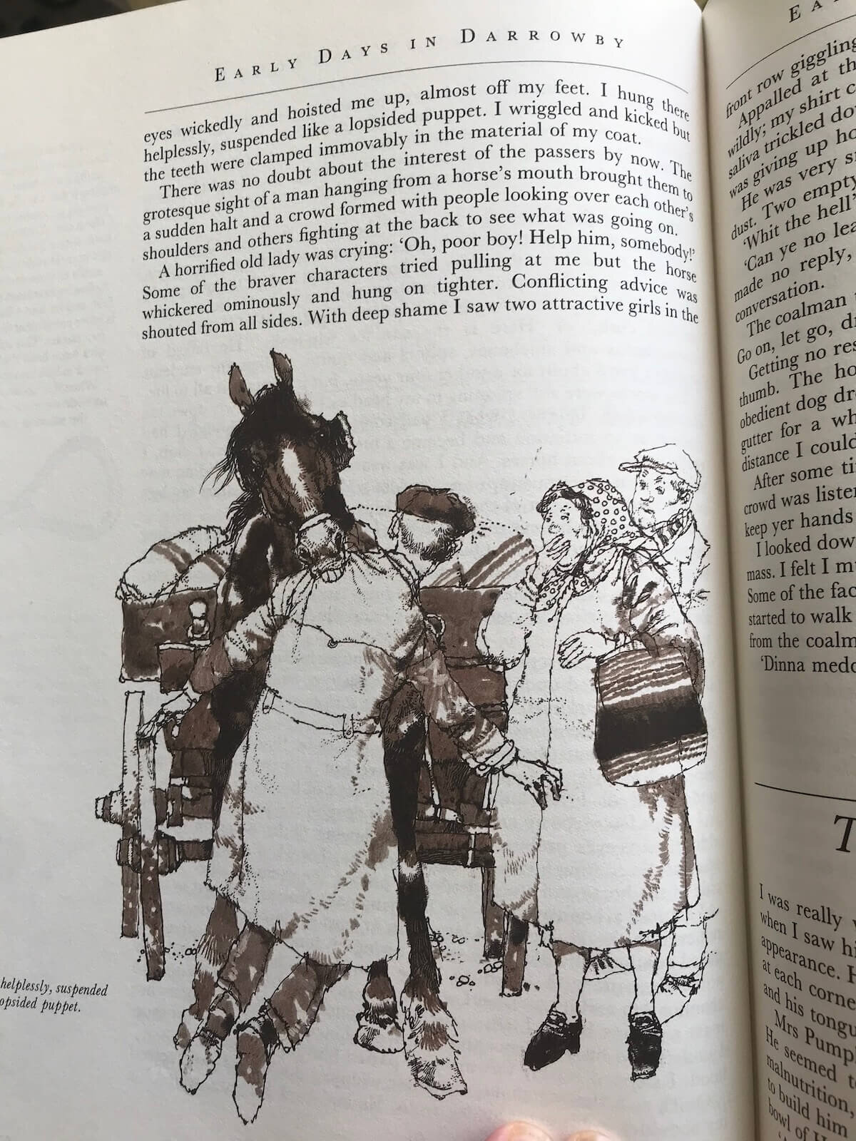 james herriot horse gaelle chassery.jpg