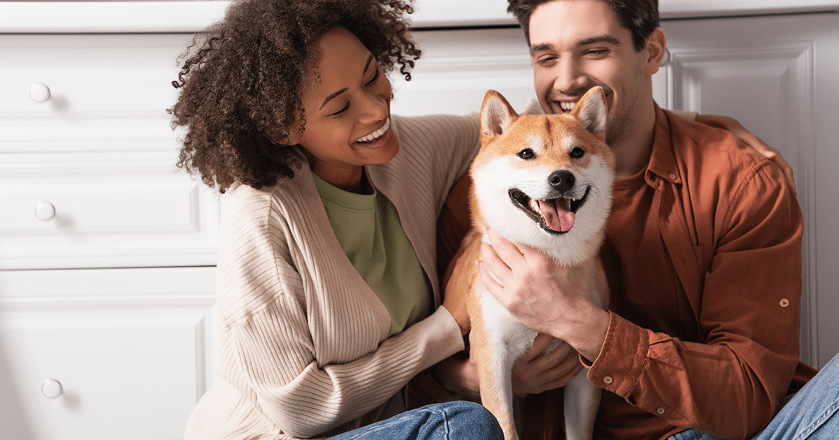 Young couple sitting on the floor with their Shiba Inu dog between them