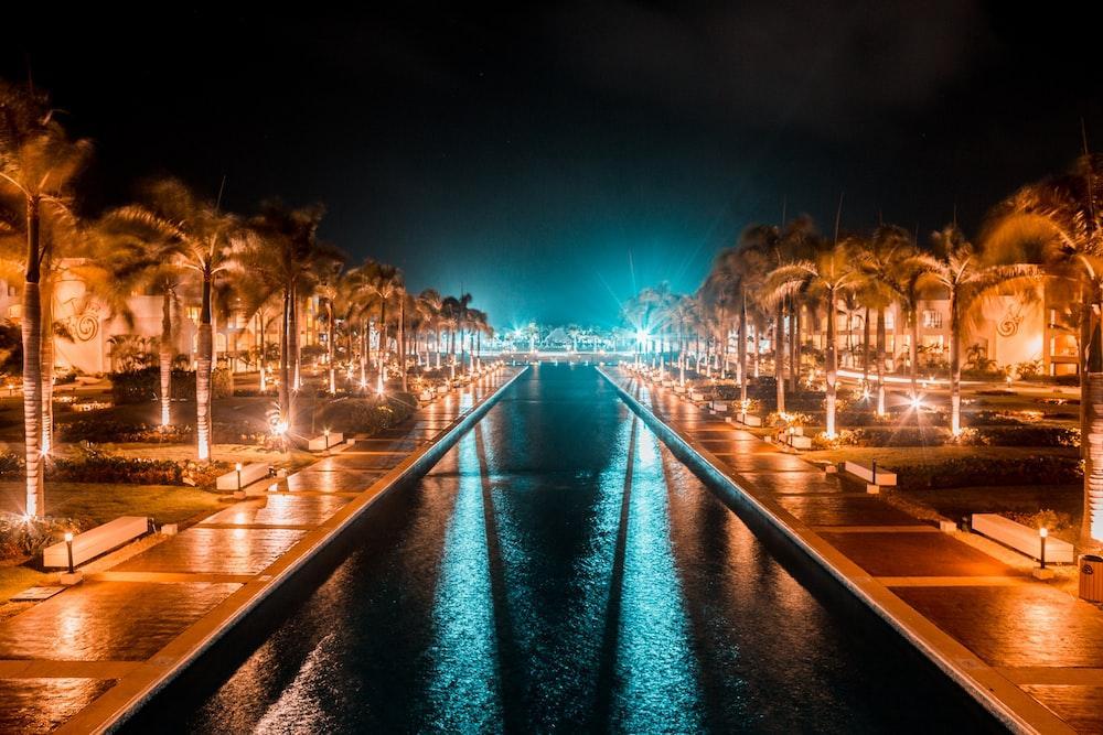 a view of a waterway at night with palm trees