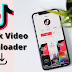 TikTok downloader reviews: 5 best TikTok video downloader