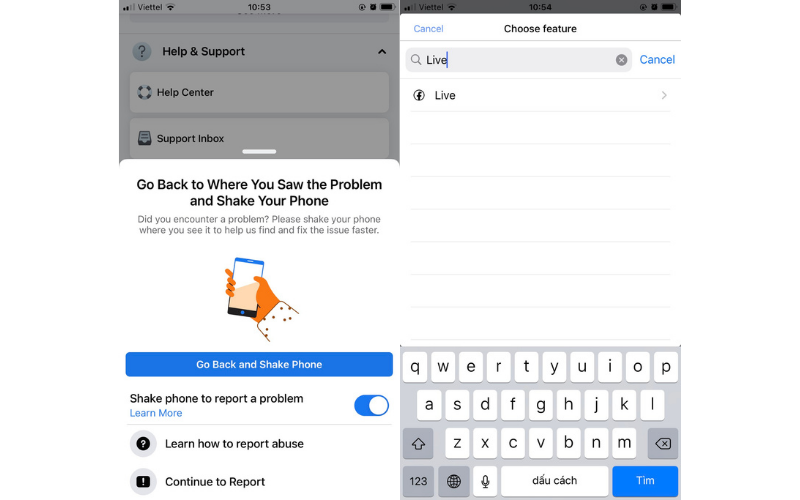 Bước 2: Chọn Tiếp tục báo cáo (Continue to report a problem) → Trực tiếp (Live) từ danh sách.