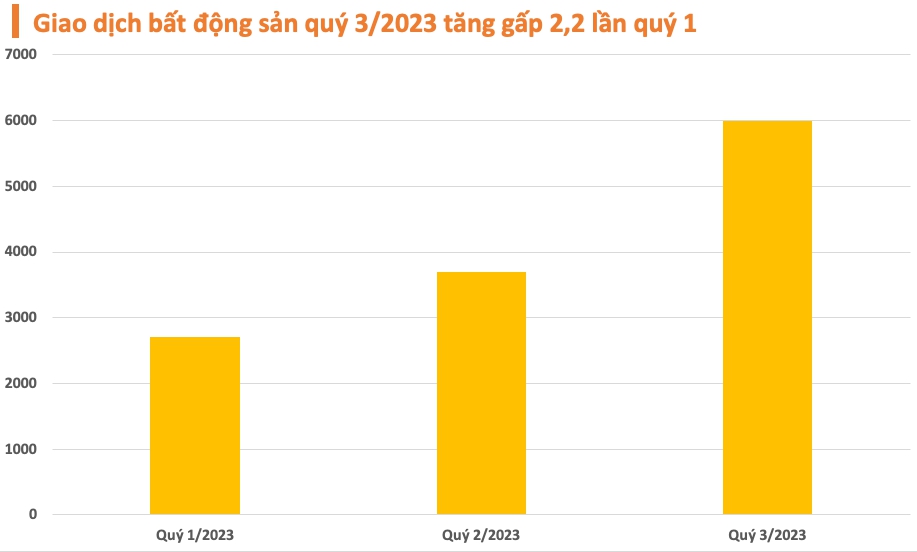 kịch bản thị trường bất động sản