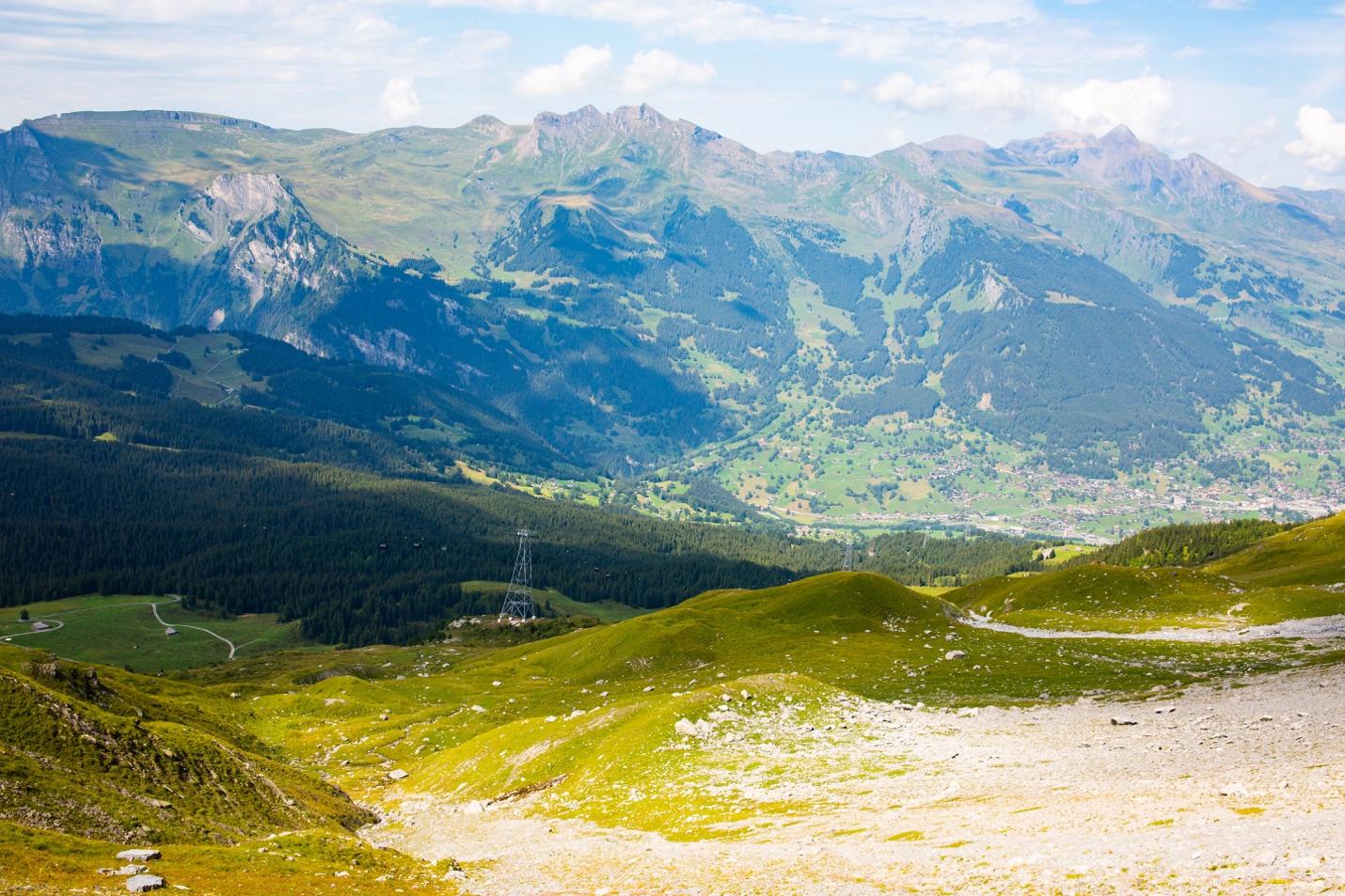 A green valley with mountains in the background

Description automatically generated