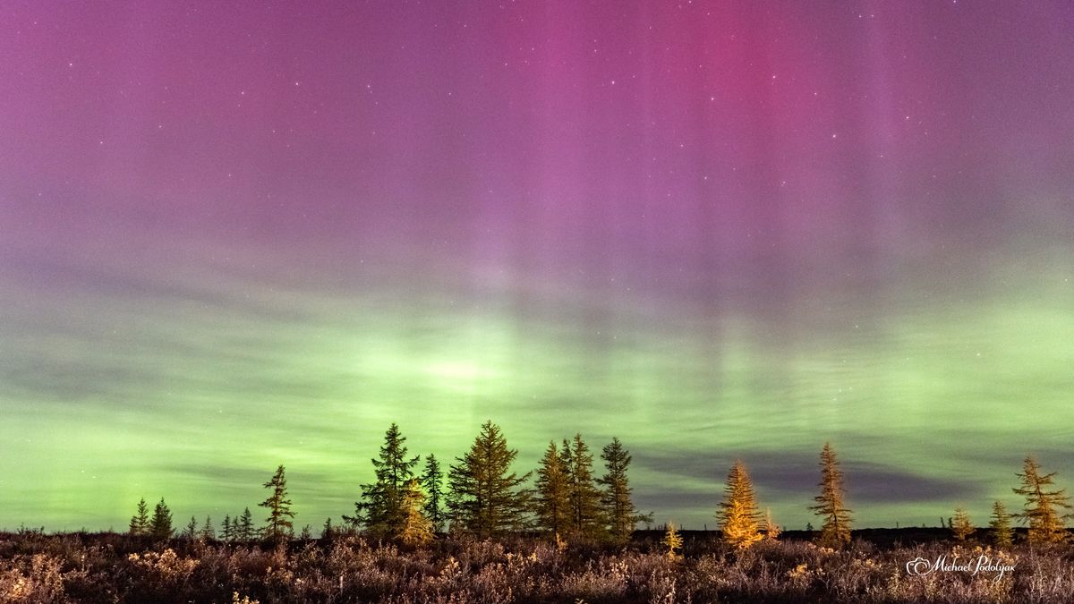 Северное сияние в Якутии. Норильск Северное сияние. Розовое полярное сияние.