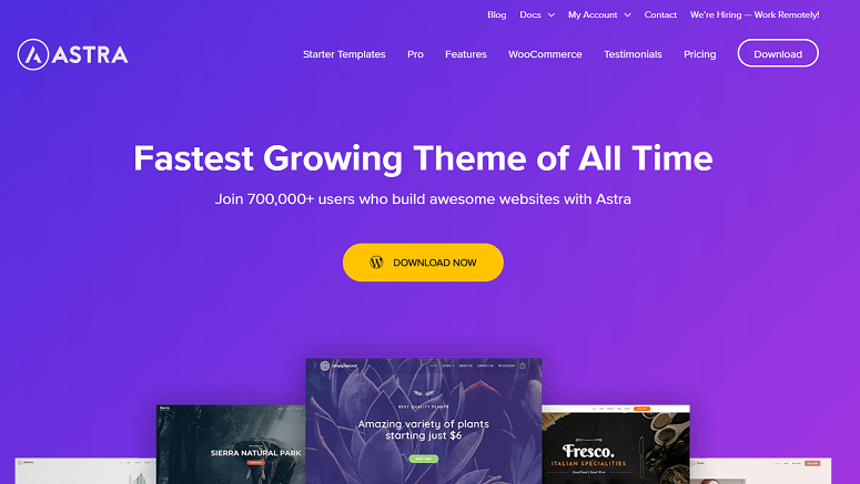 astra wordpress theme