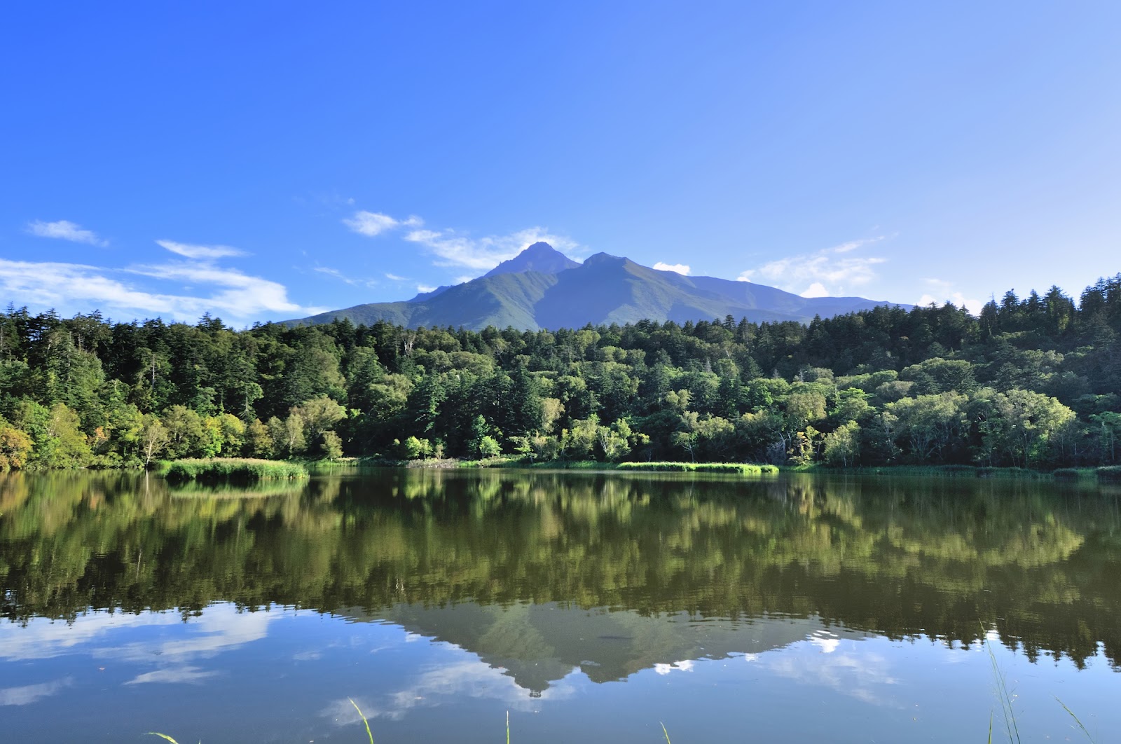 5.多彩な景観や高山植物を楽しむ｜利尻礼文サロベツ国立公園