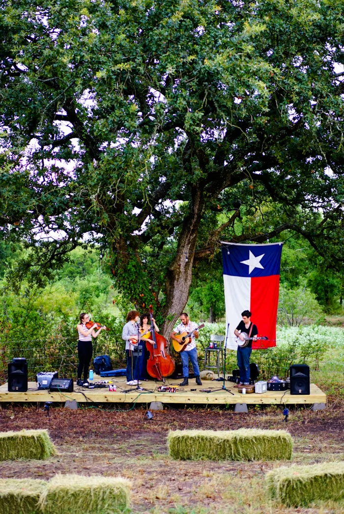 A group of band image