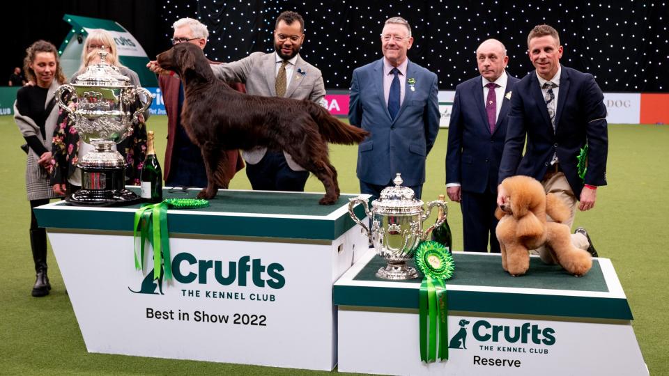 Crufts 2024