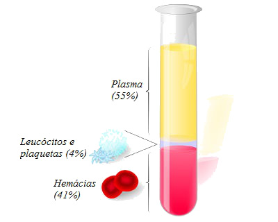 Plasma sanguíneo - Escola Kids