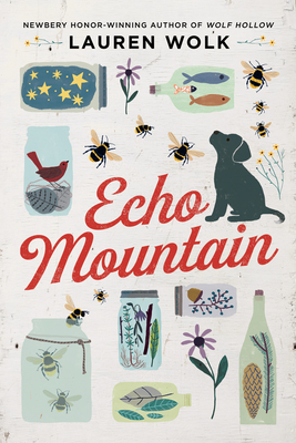 Book Cover of Echo Mountain by Lauren Wolk