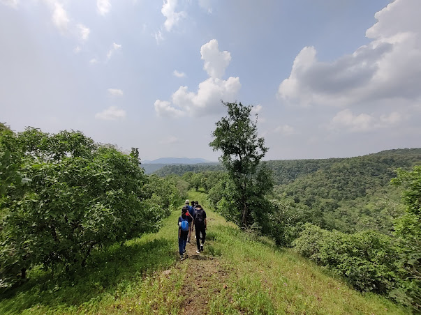 Bugsmirror team trekking back