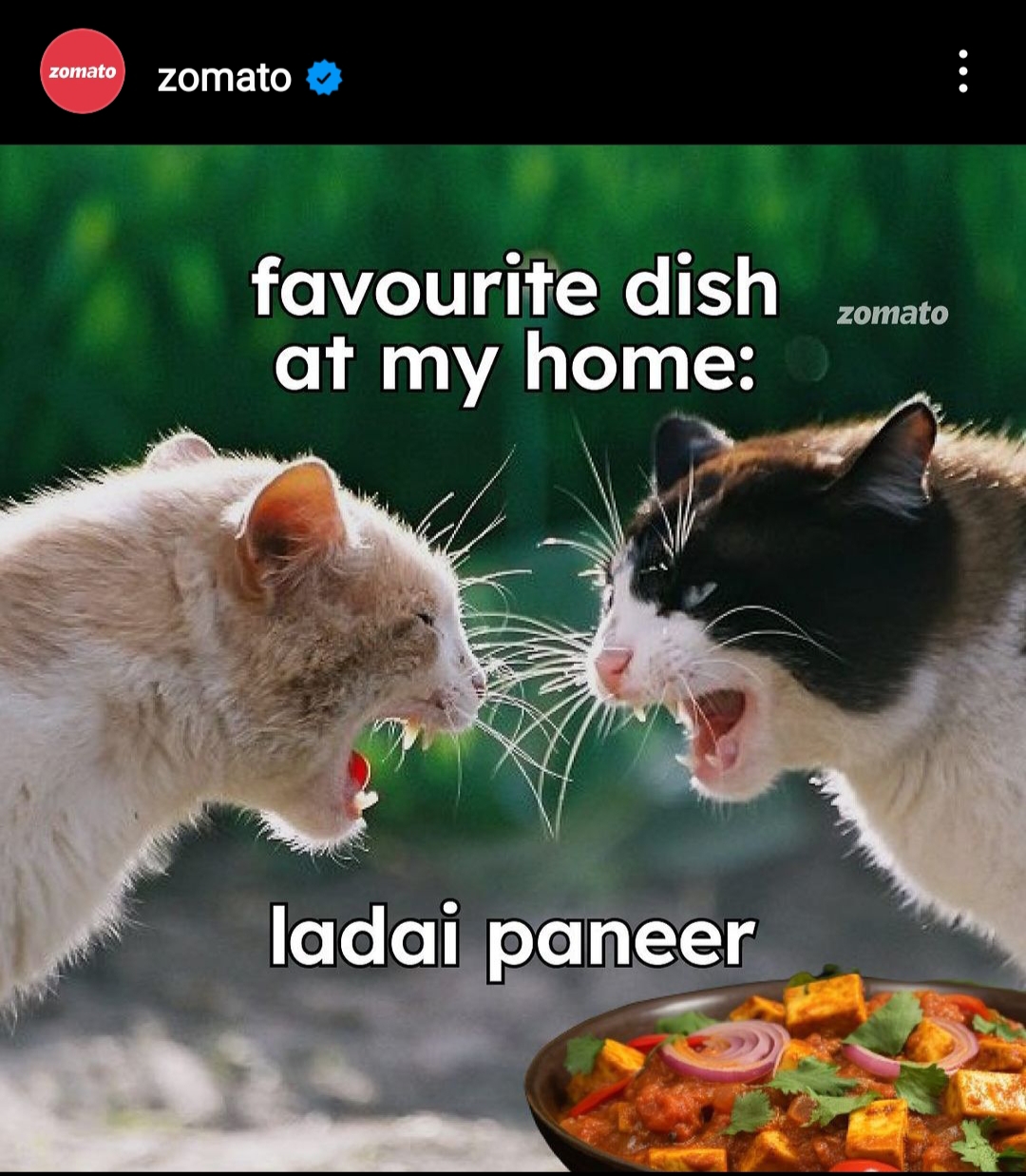 zomato creative meme