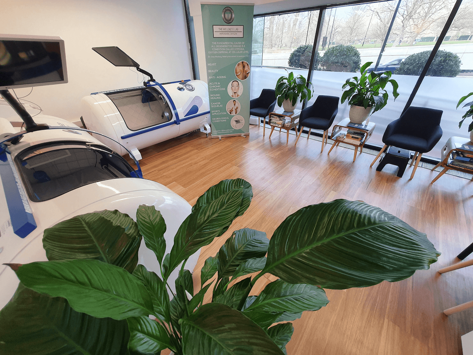 Exploring Hyperbaric Oxygen Therapy - The Wellness Lab