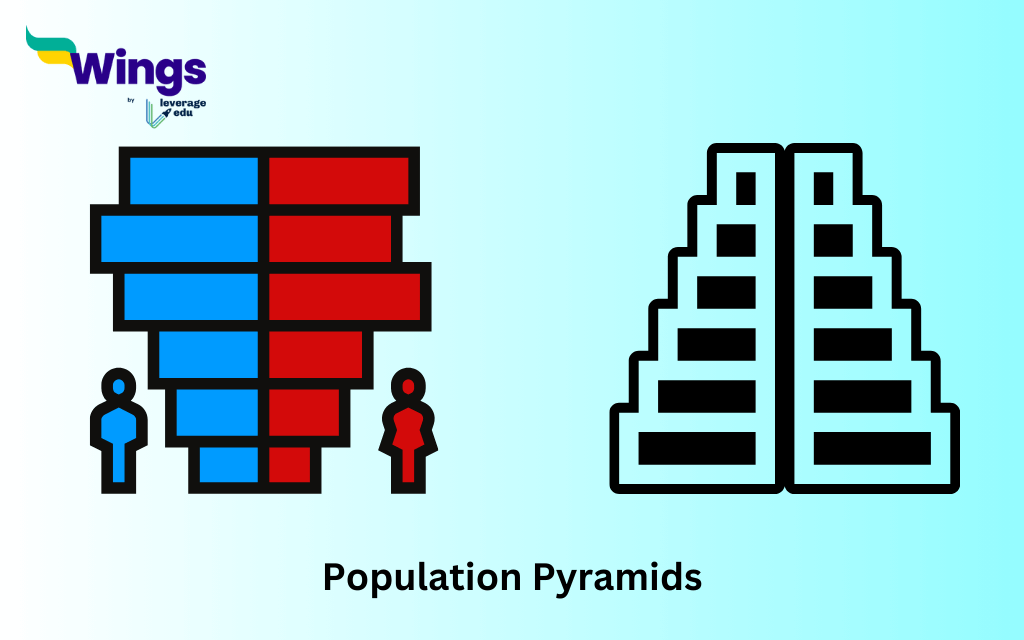 NCERT Class 8 Geography Chapter 5 Human Resources Notes: Population Pyramids     
