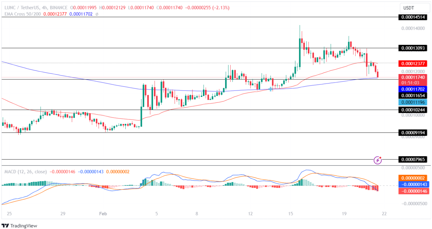 LUNC Price Analysis