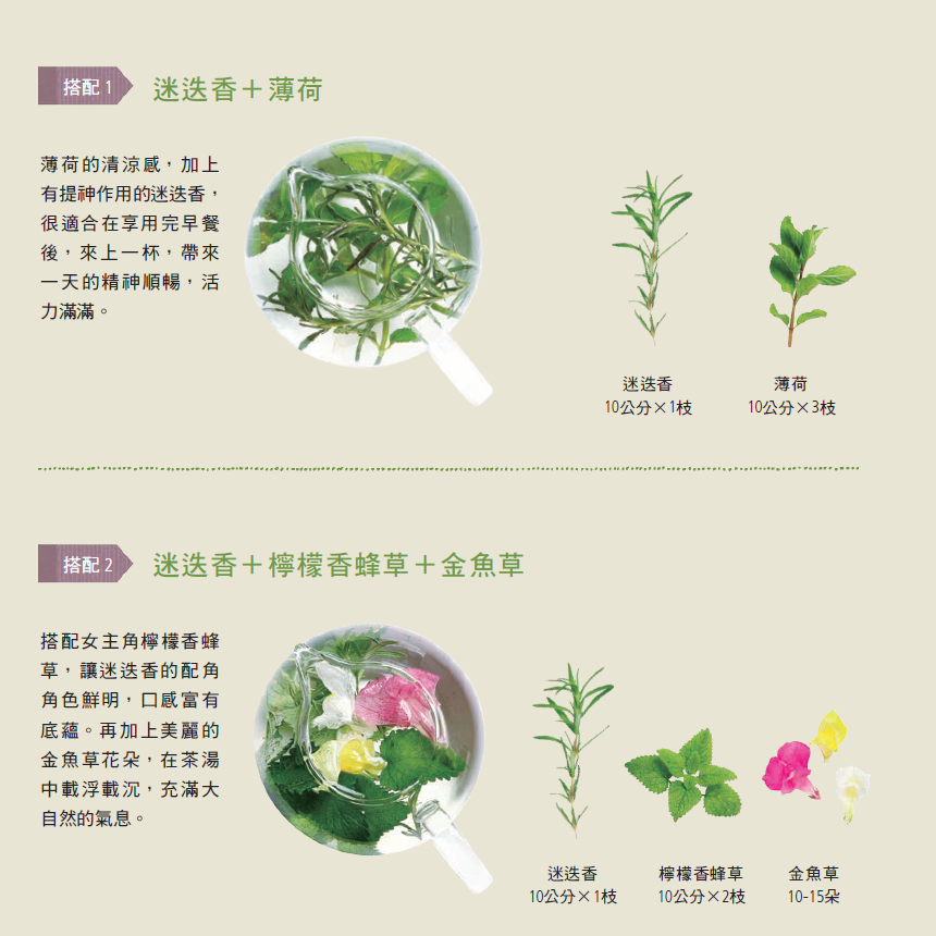 Herbs香草百科：◎ 生鮮香草茶飲 ◎ 🌿迷迭香