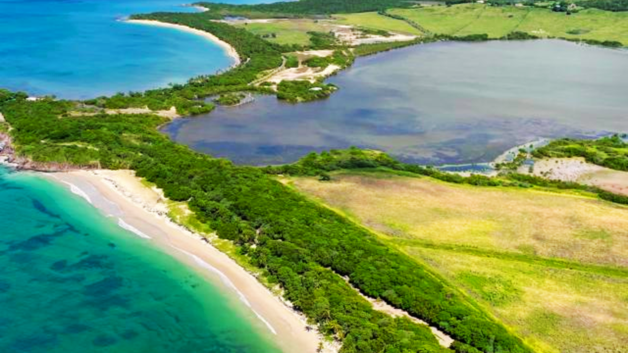 plage et lac de martinique ou guadeloupe