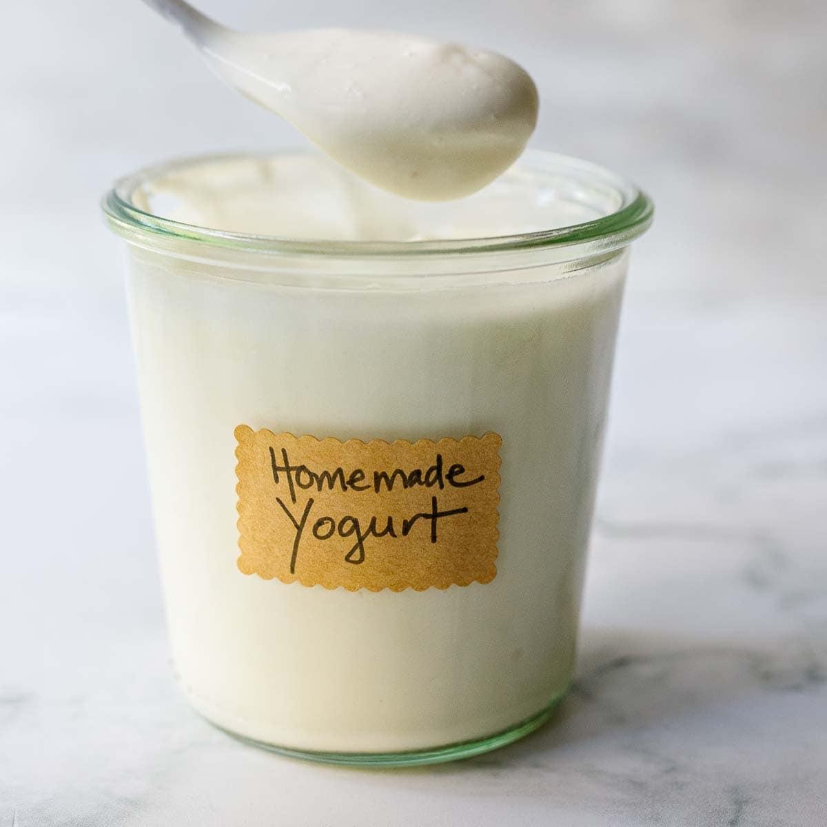 homemade-yogurt.jpg