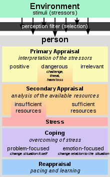 Appraisal theory - Wikipedia