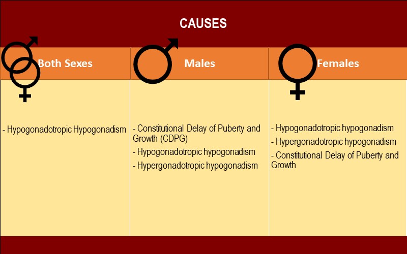 Causes of Delayed Puberty