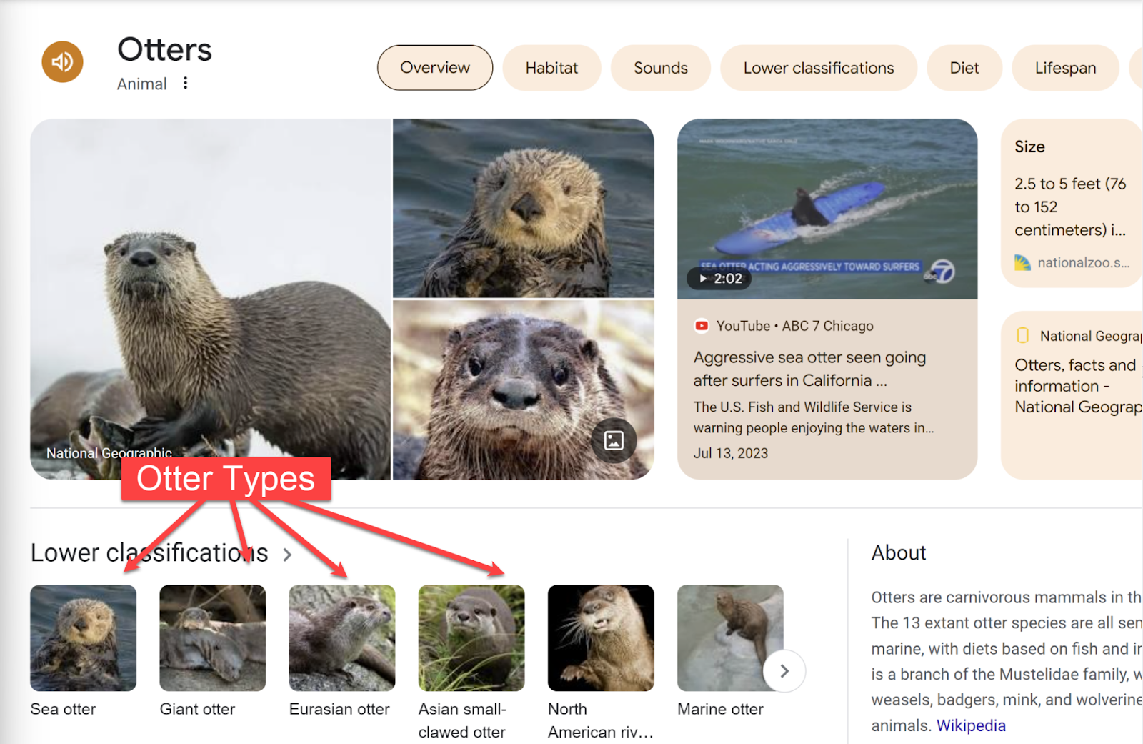 Screenshot with multi-tail callouts being used to show off different types of otters.