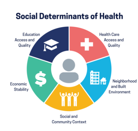 A pie chart labelled "Social Determinants of Health". The pieces of the pie chart are Health Care Access and Quality, Neighborhood and Built Environment, Social and Community Context, Economic Stability, and Education Access and Quality