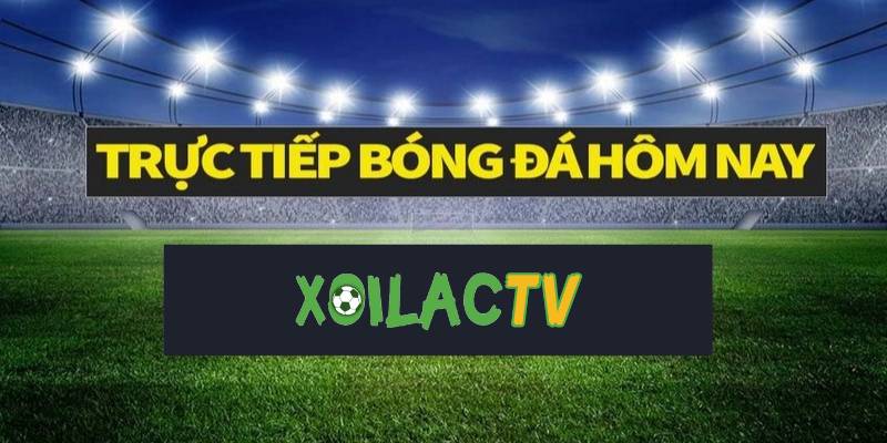 Xoilac TV cập nhật bảng xếp hạng bóng đá mới nhất trong ngày