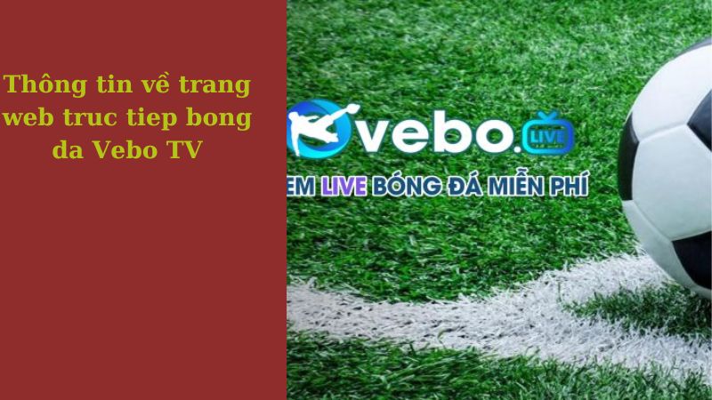 Vebo TV - Trang web xem bóng đá trực tuyến full HD