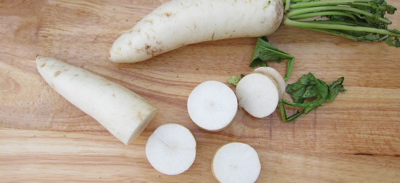 Rzodkiew daikon 