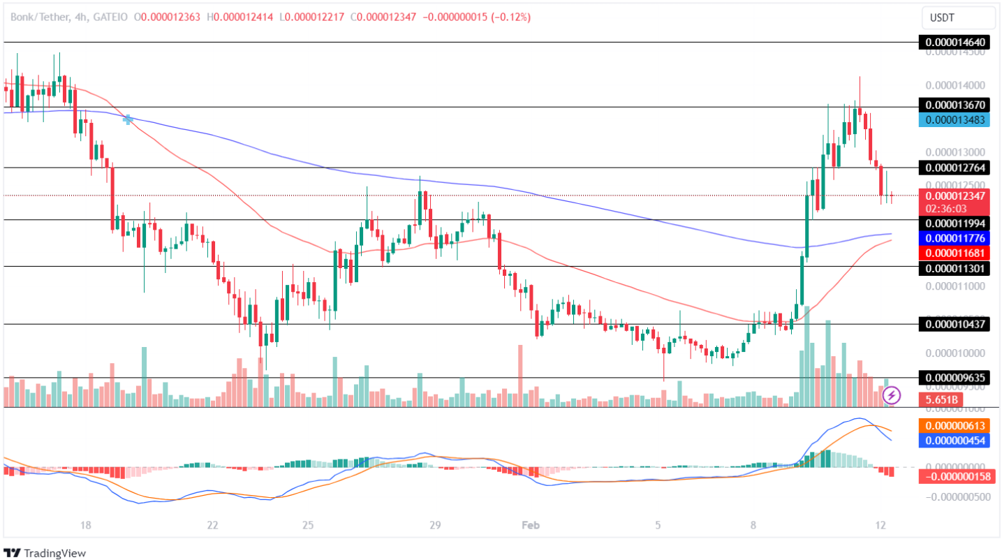 BONK Price Analysis