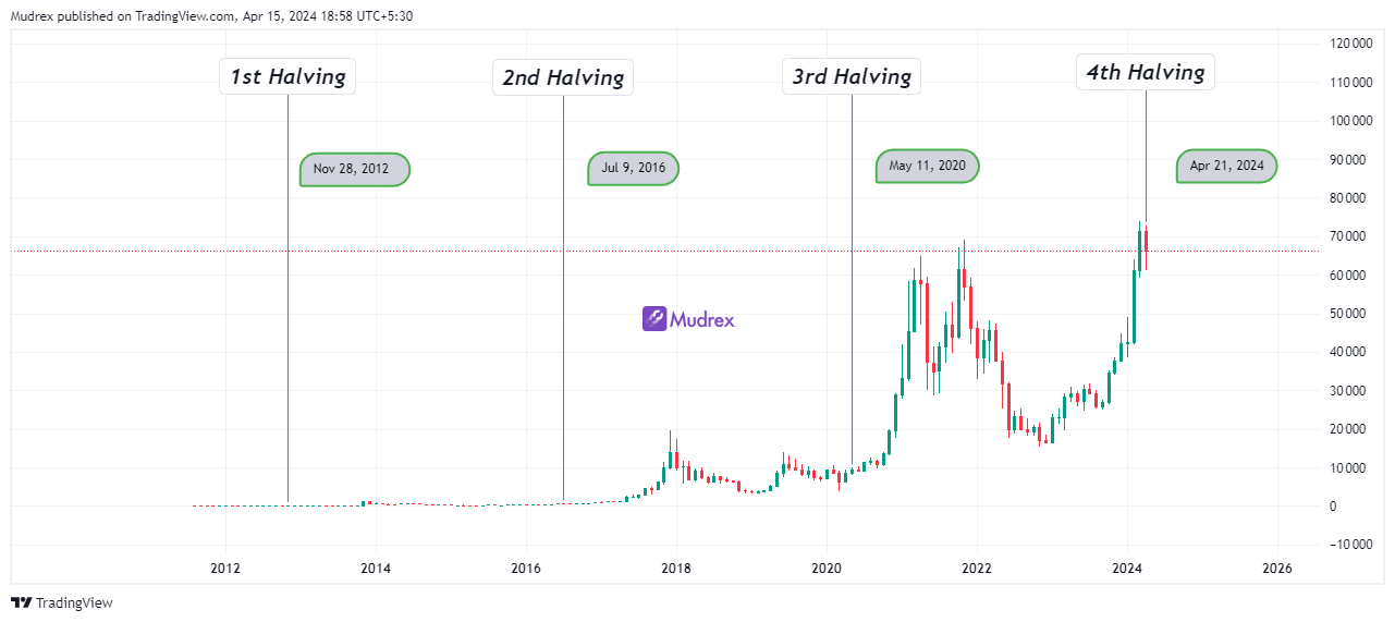 Decoding The Bitcoin Halving: Price Action and Market Sentiments