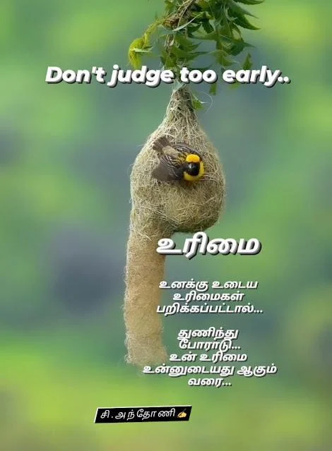 Tamil Kavithaigal