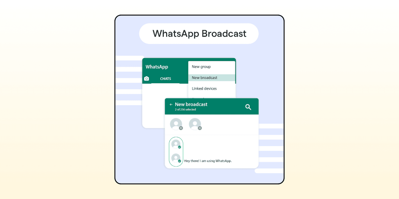 WhatsApp Business API broadcast 