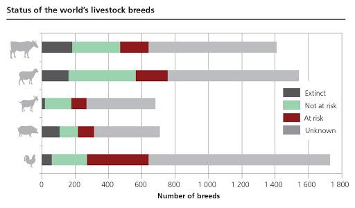 FAO - News Article: Genetic diversity of livestock can help feed a hotter,  harsher world