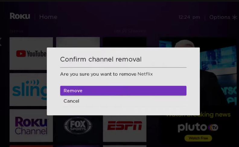 Removing Netflix from Roku