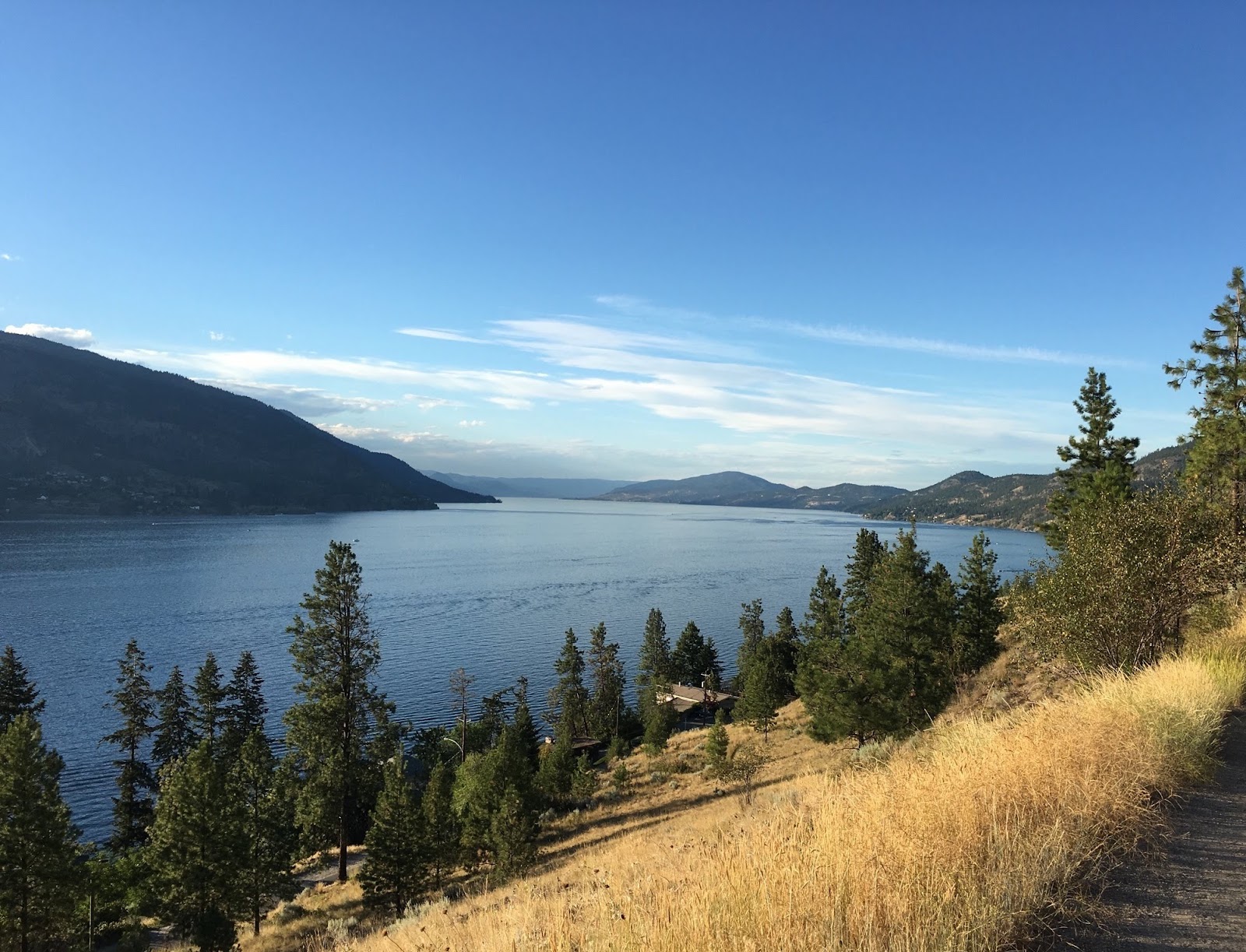 Picture of Okanagan Lake as seen from Knox Mountain with yellow grass and trees in the foreground, the lake in midground and mountains in the background under a blue sky. 