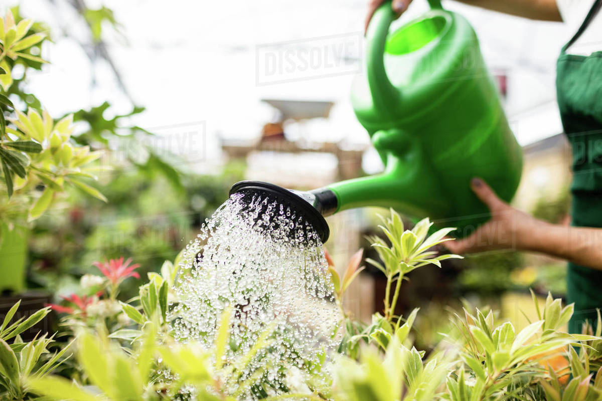Watering