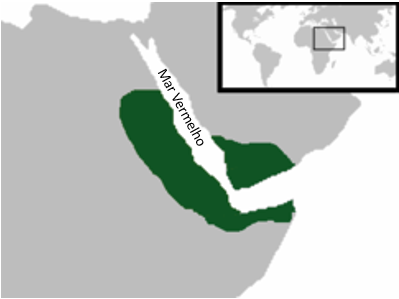 Reino axumita - reinos africanos
