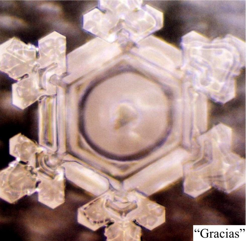 Masaru Emoto: Los Misterios del Agua