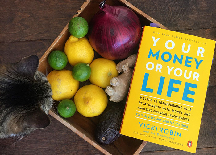 Your Money Or Your Life book cover