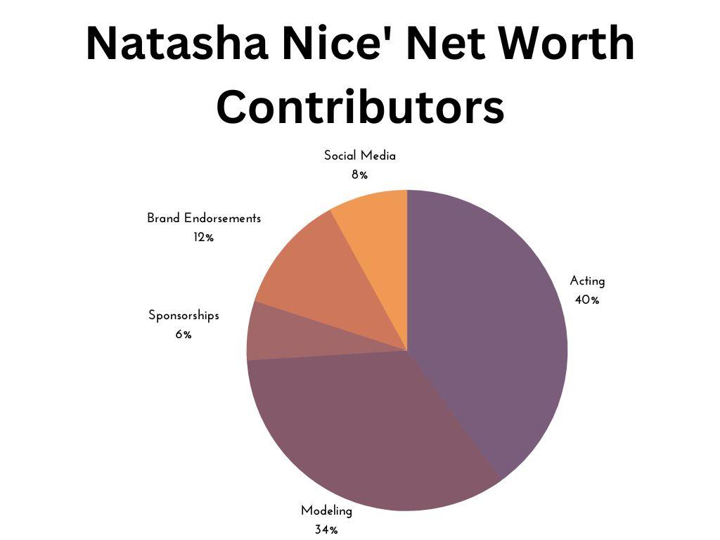 Natasha Nice Net Worth Is 3 To 5 Million 2024