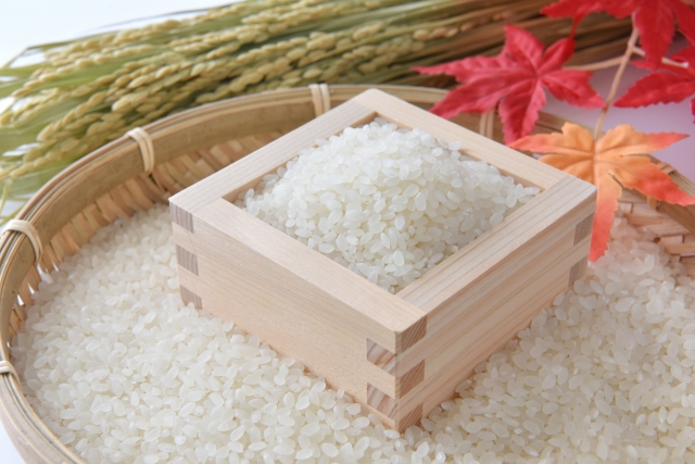 芸術の秋のほかにも「△△の秋」の由来の画像