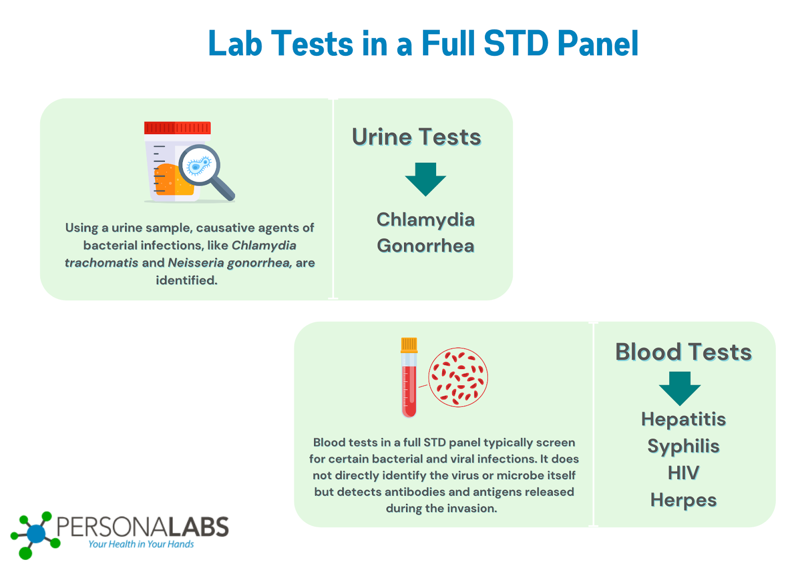 What Is Included in a Full STD Panel Personalabs