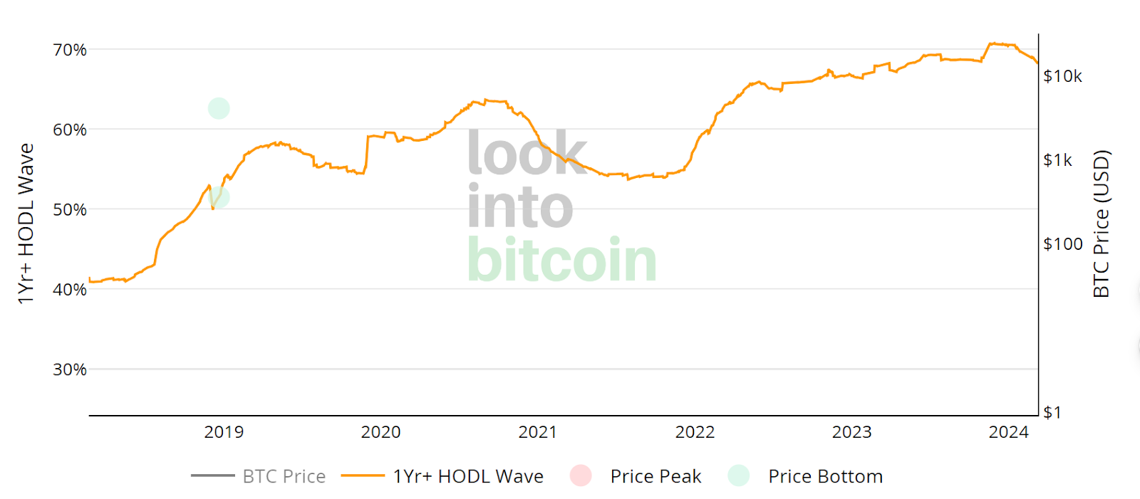 hodl wave chart