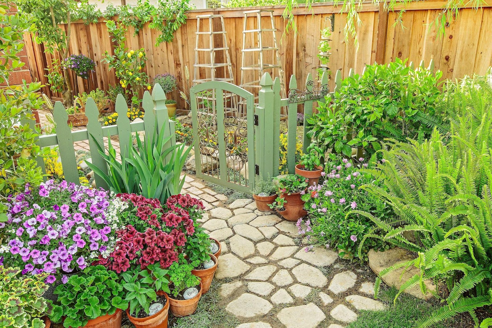 Upgrade Your Living Home Garden Magic
